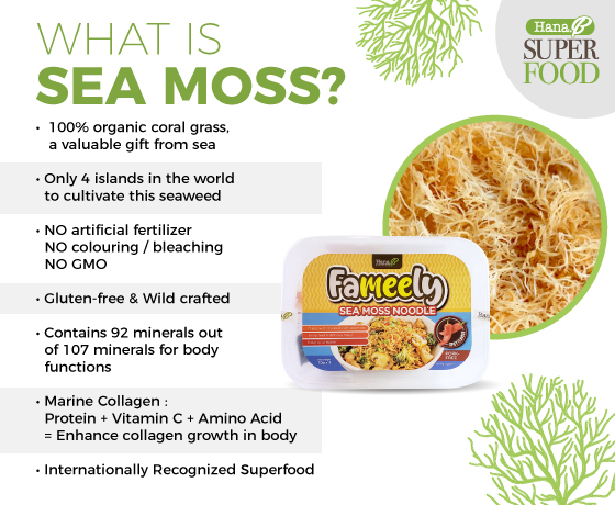 Fameely Collagen Sea Moss Spicy Noodle